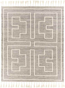 Barrington Hills Global Light Gray Area Rug