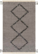 Colo Global Grey Area Rug