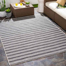 Papenbeek Cottage Charcoal Area Rug