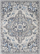 Vergelt Traditional Medium Gray Area Rug