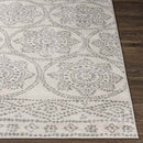 Voulwames Global Light Gray Area Rug