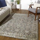 Wieen Traditional Medium Gray Area Rug