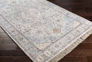Briltil Traditional Taupe Area Rug