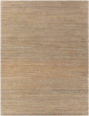 Ewer Modern Camel Area Rug