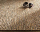 Ewer Modern Camel Area Rug