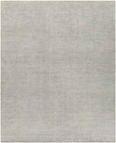 Hefswal Modern Medium Gray Area Rug