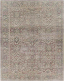 Hoogkerk Traditional Olive Area Rug