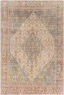 Kantens Traditional Burnt Orange Area Rug