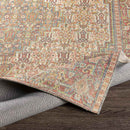 Kantens Traditional Burnt Orange Area Rug