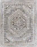 Lutjegast Traditional Beige Area Rug