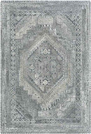 Lutjegast Traditional Silver Gray Area Rug