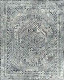 Lutjegast Traditional Silver Gray Area Rug
