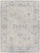 Meerwijck Modern Grey Area Rug