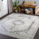 Morige Traditional Medium Gray Area Rug