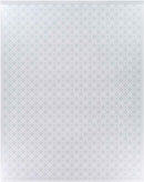 Opende Traditional White Area Rug