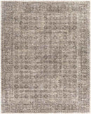 Woltersum Traditional Brown Area Rug