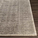 Woltersum Traditional Brown Area Rug