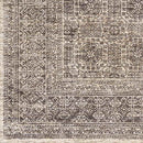 Woltersum Traditional Brown Area Rug