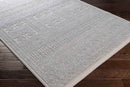 Acquoy Traditional Teal Area Rug