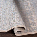 Acquoy Traditional Teal Area Rug