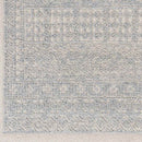 Acquoy Traditional Teal Area Rug