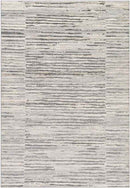 Asch Modern Grey Area Rug