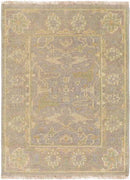 Ouwendorp Traditional Light Gray Area Rug