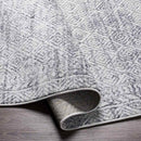 North Barrington Traditional Medium Gray Area Rug