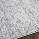North Barrington Traditional Medium Gray Area Rug