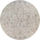 Montpelier Traditional Beige Area Rug
