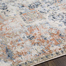 Delaware Traditional Burnt Orange Area Rug