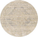 Warrick Traditional Beige Area Rug