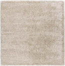 Abraham Modern Beige Area Rug