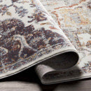 Rolling Meadows Traditional Light Gray Area Rug