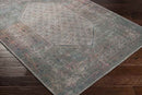 Hayri Traditional Burnt Orange Washable Area Rug