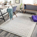 Oakbrook Terrace Modern Light Gray Area Rug