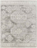 New Salem Traditional Charcoal Area Rug