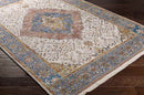 Todd Traditional Burnt Orange Area Rug
