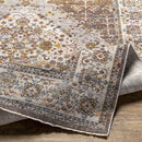 Todd Traditional Taupe Area Rug