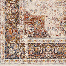 Willow Hill Traditional Burnt Orange Area Rug