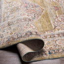 Winthrop Harbor Traditional Olive Area Rug