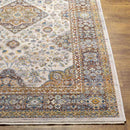 Wonder Lake Traditional Burnt Orange Area Rug