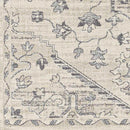 Old Ripley Traditional Beige Area Rug