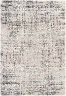 Indian Head Park Modern Light Gray Area Rug