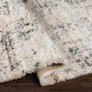 Indian Head Park Modern Light Gray Area Rug