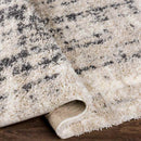 La Grange Park Modern Beige Area Rug