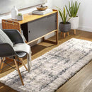 La Grange Park Modern Beige Area Rug