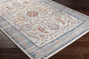 Alta Traditional Burnt Orange Area Rug