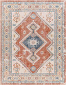 Bone Gap Global Burnt Orange Area Rug