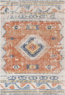 Buffalo Grove Global Burnt Orange Area Rug